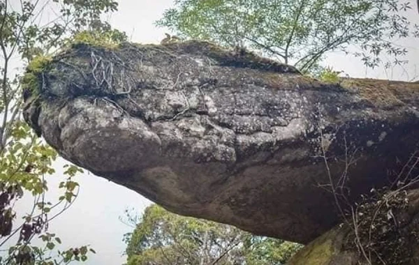 Kỳ bí hang rắn thần khổng lồ linh thiêng chỉ có ở Thái Lan