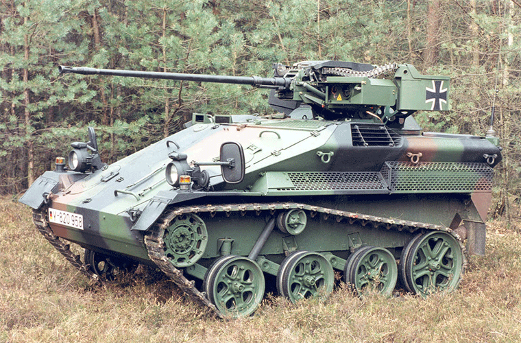 Wiesel có thể thực hiện một loạt các nhiệm vụ khác nhau như trinh sát, chỉ huy, kiểm soát chiến trường, tiếp tế, cứu thương và cả nhiệm vụ chống tăng.