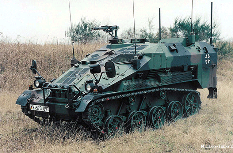 Biến thể này có cấu hình vũ khí đa dạng hơn. Nó có thể lắp súng máy 7,62 mm hoặc cối 120 mm, tên lửa chống tăng TOW.