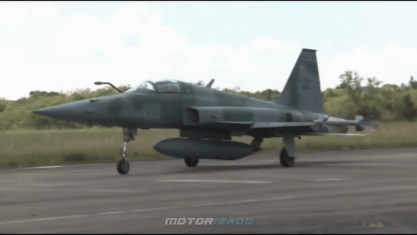 Các chuyên gia quân sự tại Brazil lưu ý rằng việc bảo dưỡng F-5EM tương đối tiết kiệm chi phí và đơn giản, khiến nó phù hợp với các vai trò hoạt động cường độ thấp.