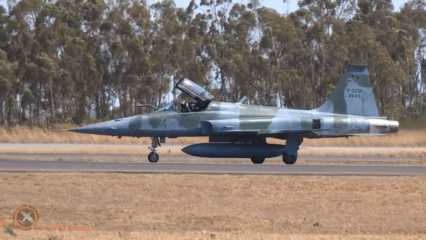 Về mặt vũ khí, F-5EM được trang bị nhiều hệ thống vũ khí, bao gồm pháo M39A2 20mm, tên lửa không đối không Python-4 và Derby, cũng như nhiều loại đạn không đối đất và cả bom dẫn đường bằng laser.