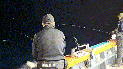 Bất ngờ từ mặt biển tĩnh mịch, một con cá mập lao lên khỏi mặt nước va thẳng vào đầu khiến một cần thủ bị thương. Khoảng thời gian con cá mập này lao lên không chỉ diễn ra trong vỏn vẹn vài giây nên cần thủ này không kịp phản ứng.