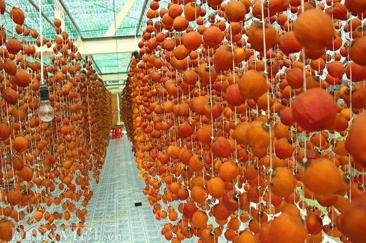 Mãn nhãn cảnh làm hồng treo Đà Lạt cho thu nhập “khủng“