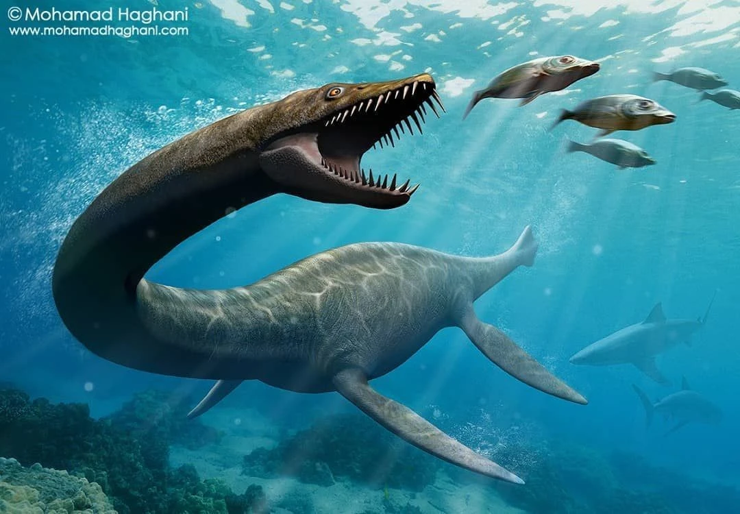 Kinh sợ loài quái vật được mệnh danh "Chúa tể biển sâu" kỷ Phấn Trắng 