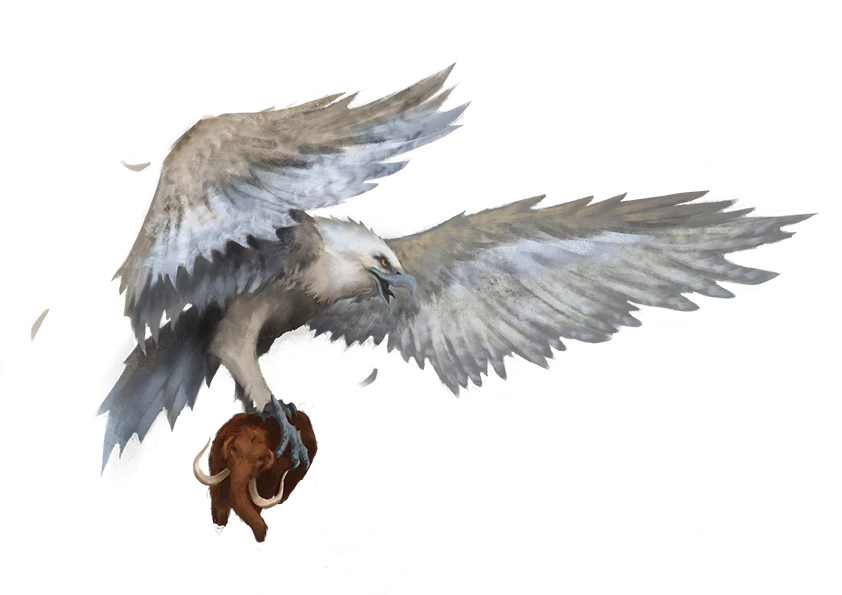 Sức mạnh khủng khiếp của loài chim có thể nhấc bổng voi 