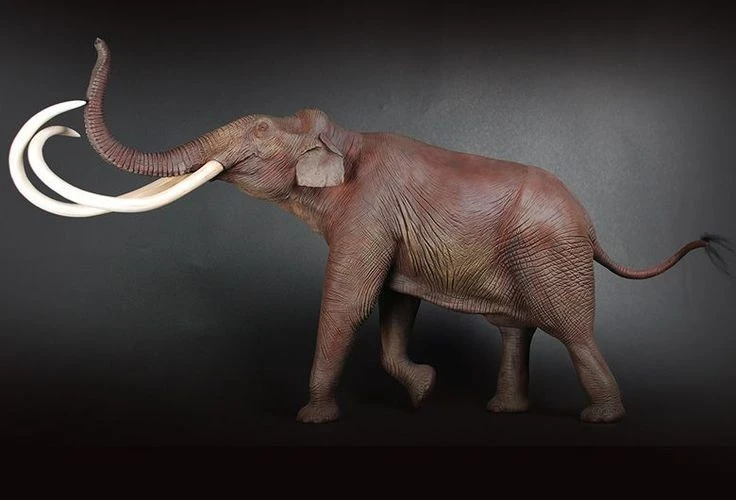 Tận mục loài voi có ngà dài tới 3 mét, từng bị truy lùng ráo riết 