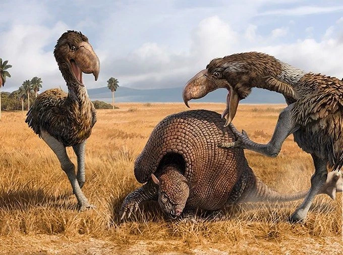 Cái mỏ đáng sợ của chim săn mồi khủng nhất thời tiền sử 