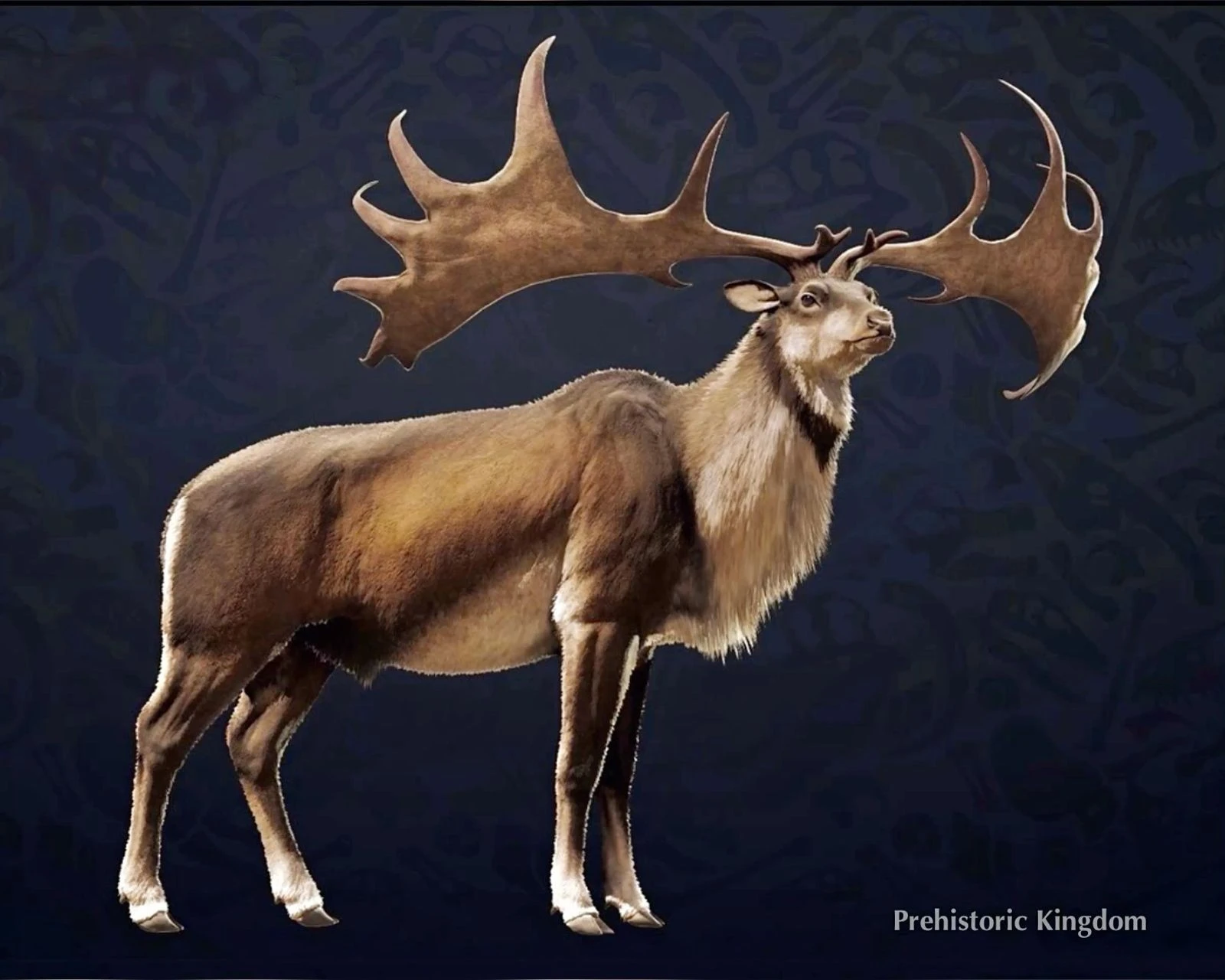 'Lộc thần' xuất hiện, sừng như cánh quạt gây choáng