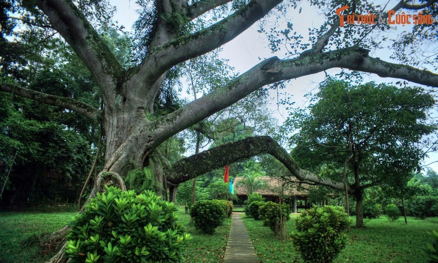 Ghé thăm cái nôi của Cách mạng Tháng 8