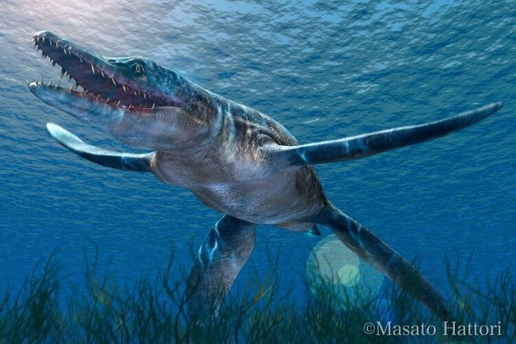 Cú đớp chết chóc của loài “thuồng luồng” dài 13 mét