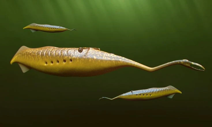 Soi sinh vật hóa thạch kỳ lạ, bí ẩn nhất từng được phát hiện