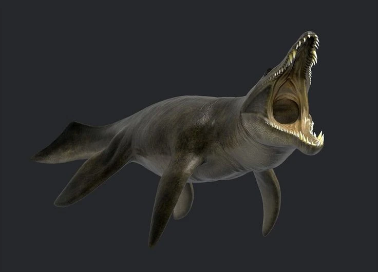 Loài bò sát biển khủng khiếp nhất từng tồn tại, răng dài tới 30 cm 
