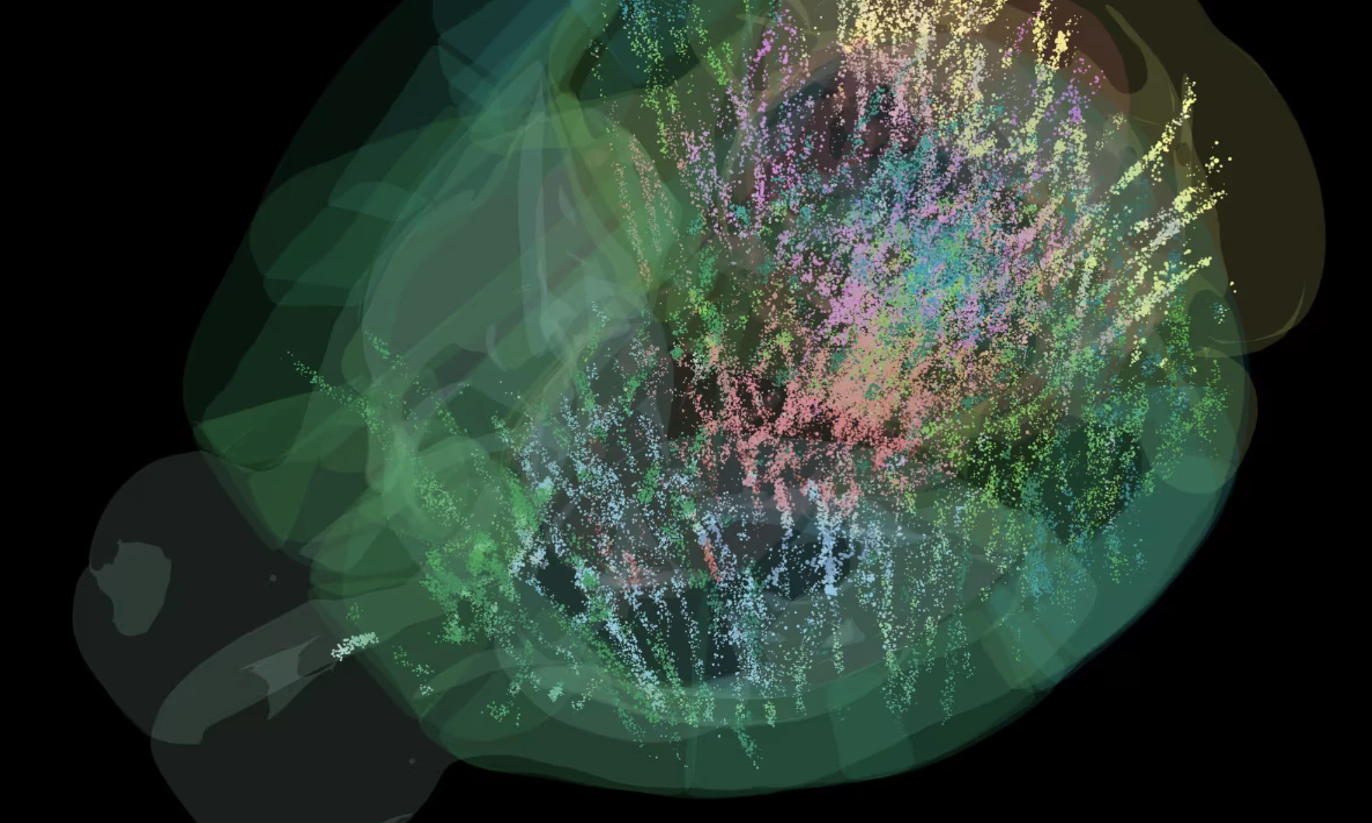 Công bố phát hiện chưa từng có về bộ não