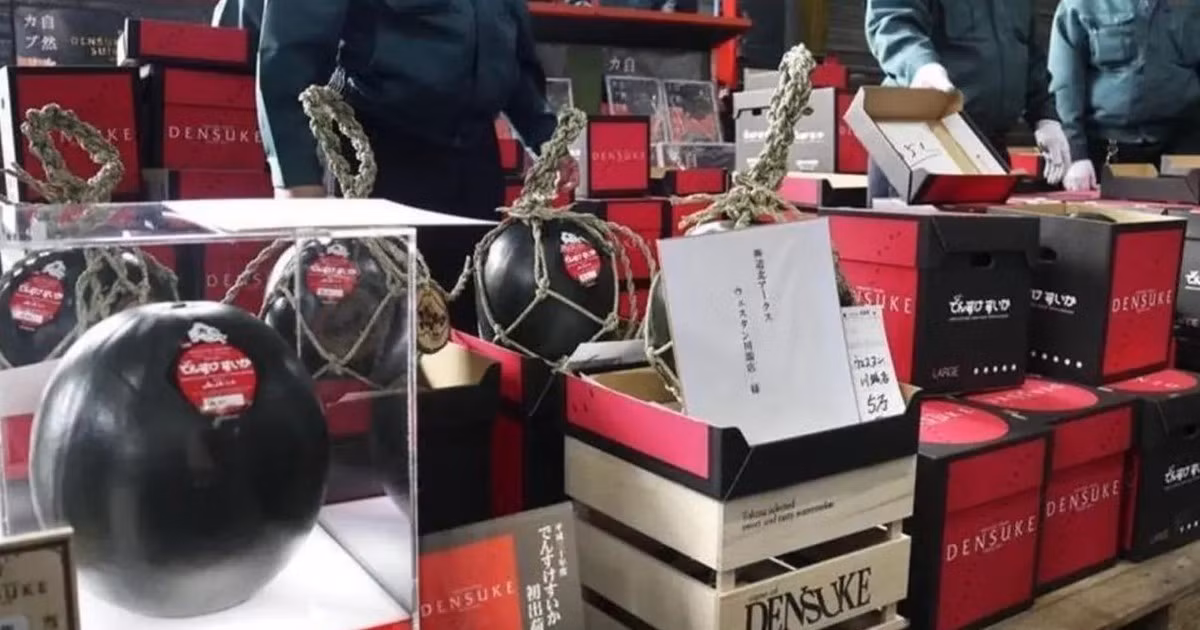 Những loại quả đắt nhất hành tinh, có tiền mua cũng khó