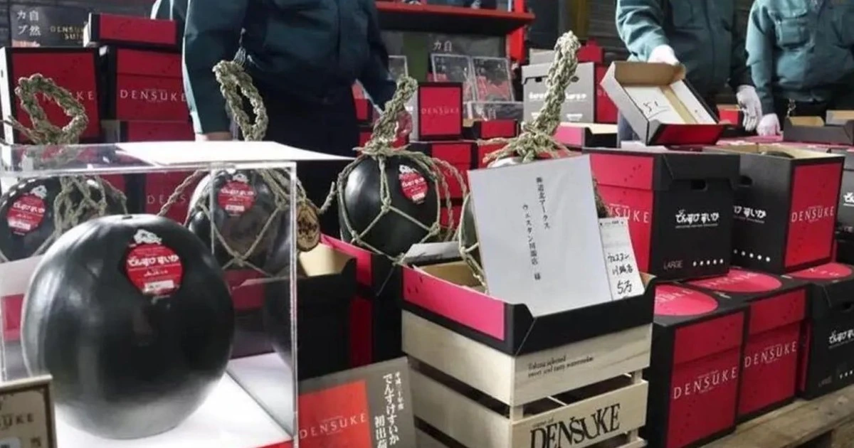 View - Những loại quả đắt nhất hành tinh, có tiền mua cũng khó | Báo Tri thức và Cuộc sống - TIN TỨC PHỔ BIẾN KIẾN THỨC 24H