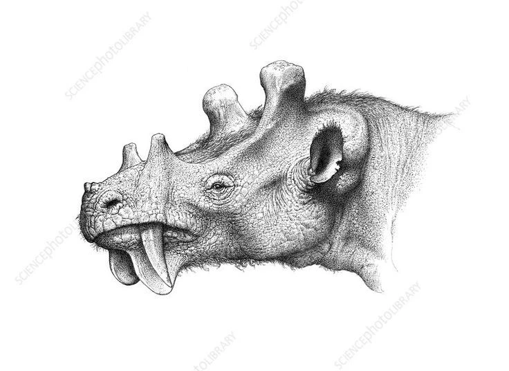 Cận cảnh loài thú có bộ mặt đáng sợ nhất từng tồn tại trên quả đất