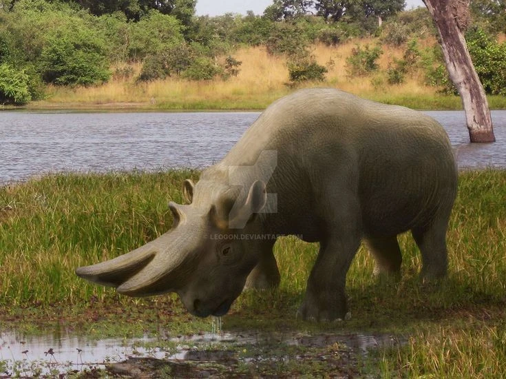 Loài tê giác có cặp sừng dị nhất từng tồn tại trên Trái Đất