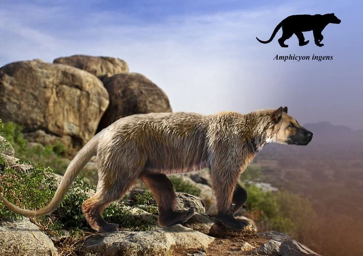 Khó tin loài 'chó lai gấu' nặng nửa tấn, săn mồi tàn bạo 