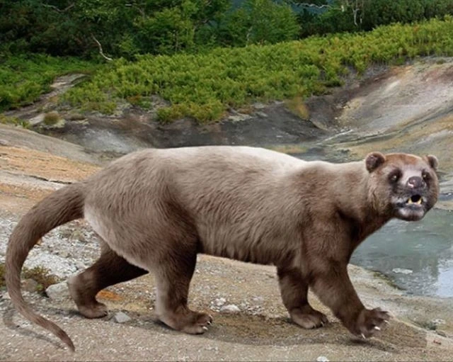 Loài thú ăn thịt khổng lồ từng là nỗi kinh hoàng khắp châu Á 