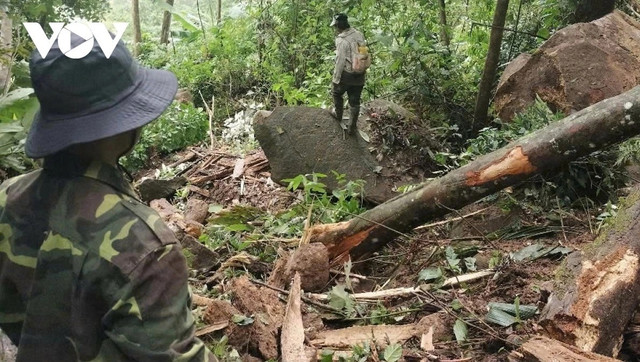 Sạt lở núi, nhiều tảng đá rơi xuống đe doạ tính mạng và tài sản của người dân ở Quảng Nam. dong2.png