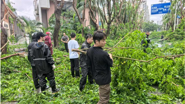 Hơn 20.000 cây xanh đã bị bật gốc hoặc gãy cành tại Tam Á. Ảnh: CD. bao2.png