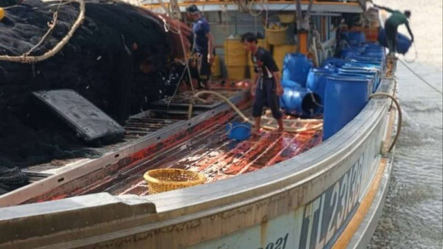 Vụ việc xảy ra tại tỉnh Chumphon, Thái Lan. Ảnh: 4forcenews. thailan2.png