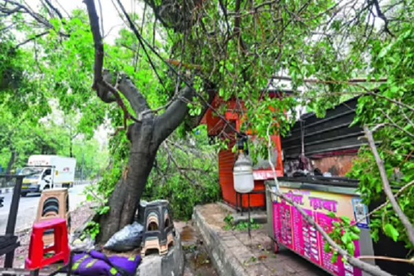 Vụ tai nạn thương tâm xảy ra tại một quán ăn ven đường ở phía nam Delhi, Ấn Độ. Ảnh: IT. ando.png
