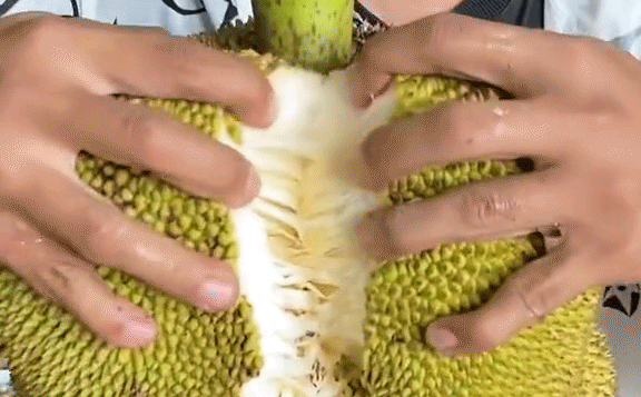 Thời gian này, do những quả mít đang vào mùa chín, khắp nơi nơi đều thấy dân tình khoe cảnh mua mít, rồi ăn mít...