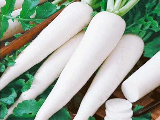Trong khi đó củ cải Việt Nam thuôn dài, màu không được trắng và bóng bằng củ cải Trung Quốc. Ảnh: Bachhoaxanh.