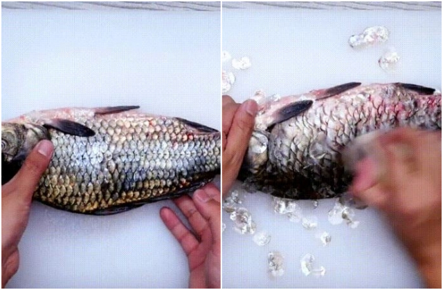 Chi dung cu cai danh