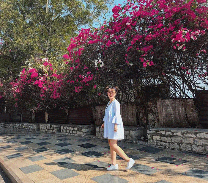 Theo đó, Nguyễn Văn Vũ đã cưa thân các trụ cây xanh, sau đó cắt gốc mang về ươm, chiết để mang đi bán lại cho người khác.