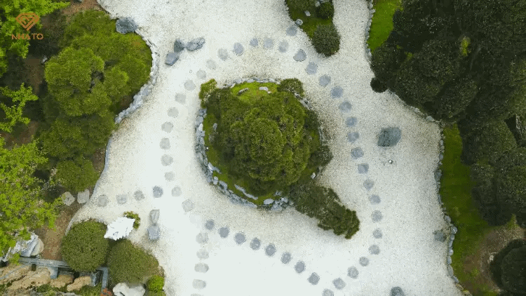 Trong video mới nhất của kênh YouTube NhaTO, "khu vườn bạc tỷ" với hàng loạt cây thông Nhật mà đại gia Bùi Quang Ngọc mới tậu được bố trí, sắp xếp như một "hạm đội giữa đại dương".