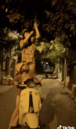 Trước đó, trên TikTok dân tình liên tục bắt gặp những đoạn clip ghi lại cảnh vặt trộm trái cây, thường gặp nhất là xoài non.