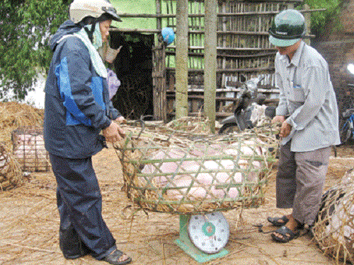 Thông thường những ngày giáp Tết, phiên chợ Heo sẽ càng đông đúc. Khoảng 28 Tết chợ sẽ nghỉ và họp phiên chợ mới đầu năm vào ngày mùng 8 tháng Giêng Âm lịch. Ảnh: Giadinhxahoi.