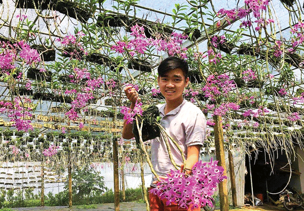 Nghỉ học từ năm 15 tuổi nhưng bằng niềm đam và nghị lực, đến nay Vũ Ðức Nghi (sinh năm 1997, ngụ tại xã Lộc Thanh, TP Bảo Lộc) đã sở hữu vườn lan rừng hơn 3.000 m2 và mỗi năm cho nguồn thu nhập gần 1 tỷ đồng. Ảnh: Baolamdong.