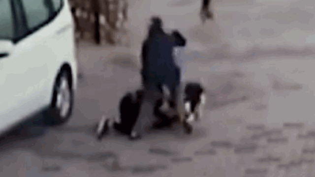 Con gái bị chó pitbull cắn xé, mẹ liều mình lao vào giải cứu Con gai bi cho pitbull can xe, me lieu minh lao vao giai cuu