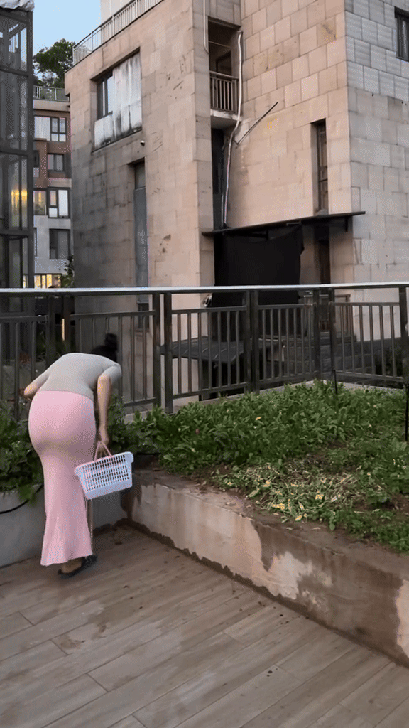 Khu vực trồng rau trên sân thượng. Ảnh chụp màn hình