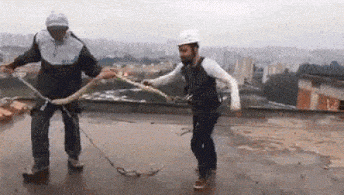 Giải trí tí cho cuộc sống nó sôi động thôi mà. 