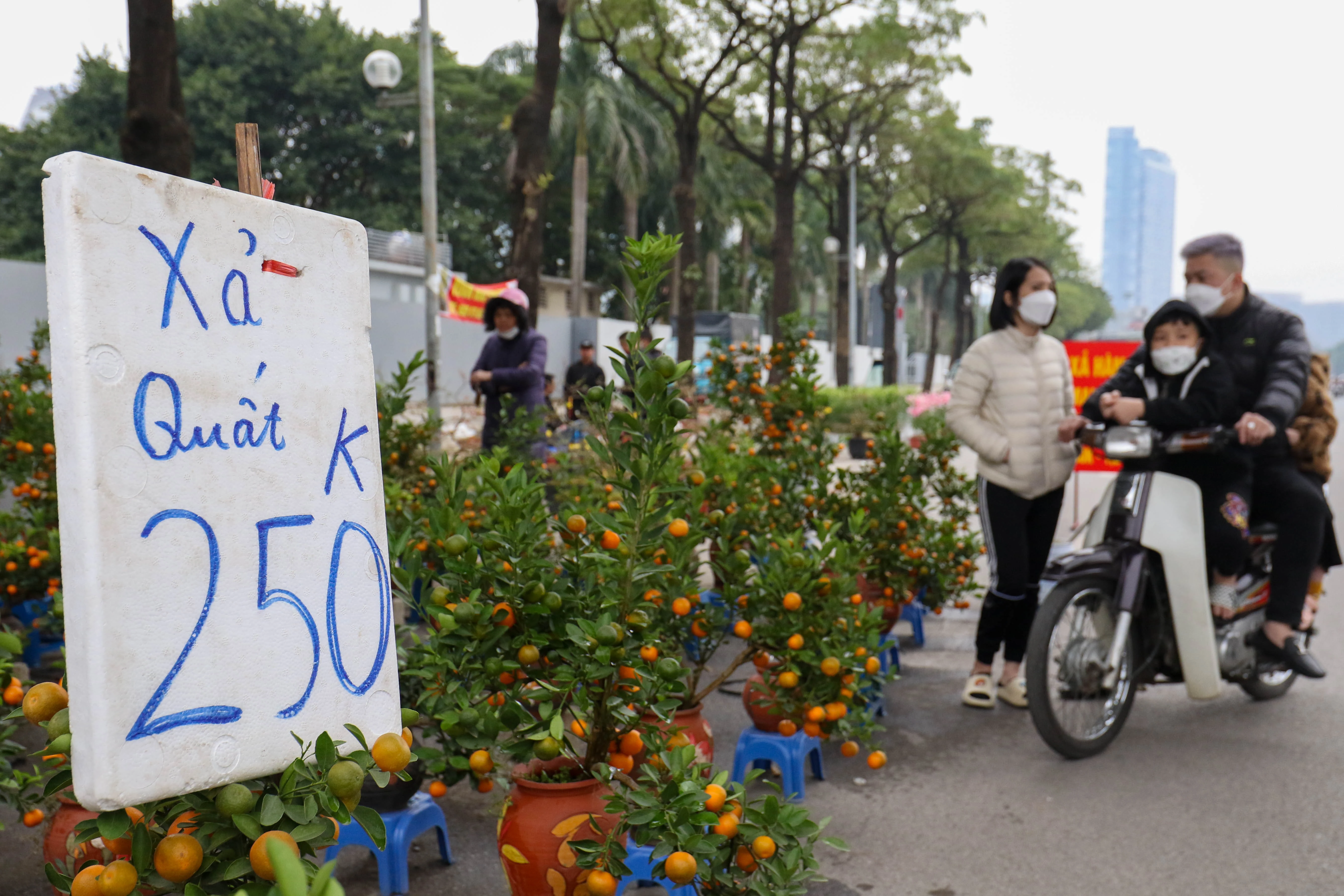 Dạo qua thị trường chiều 28 Tết Nhâm Dần, xả hàng bất chấp