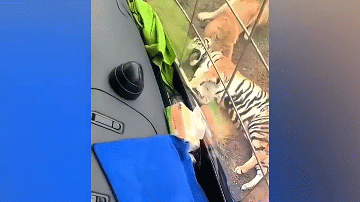 Ho du bi 3 su tu “danh hoi dong” va cai ket bat ngo