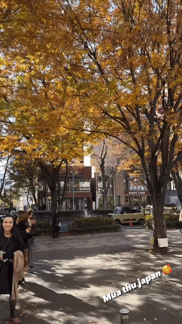 Đoạn clip ngắn được chính Huyền Mi đăng tải khi đi đón mùa thu tại Nhật Bản.