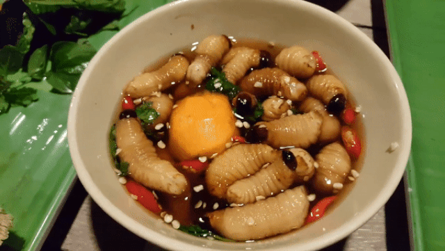 Lý do là cách ăn đuông dừa khiến nhiều người "sởn da gà" nhất là ăn đuông dừa còn nguyên con, ngoe nguẩy đang “tắm" trong bát nước mắm. Ảnh: Vietnamnet