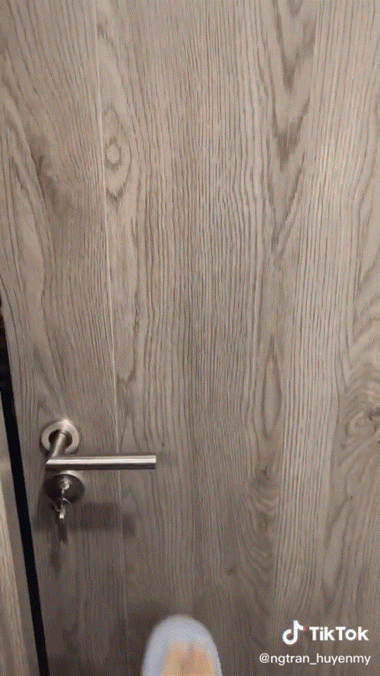 Có lẽ vì cũng biết sức hút của em trai mình nên Á hậu Huyền My thường xuyên cho Việt Anh lên sóng. Sau Instagram, mới đây cậu bạn tiếp tục có cơ hội lộ diện trên TikTok của chị gái.