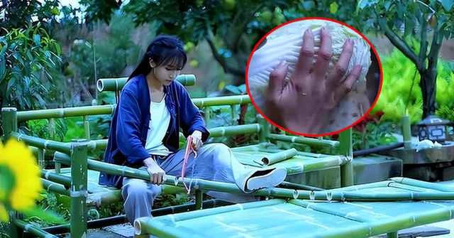 Đôi tay "tiên nữ đồng quê" Lý Tử Thất, fan không khỏi xót xa