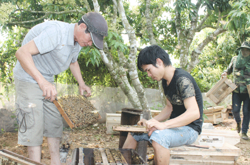 Nghề nuôi ong ở Bắc Giang đã có từ lâu nhưng chỉ mang tính chất tự phát, nhỏ lẻ, sản phẩm chủ yếu phục vụ nhu cầu của gia đình. Ảnh: Baobacgiang.