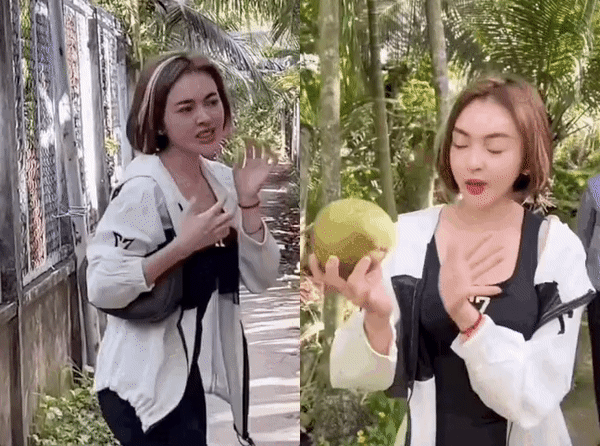 Trong diễn biến mới nhất, Trang Nemo vẫn update trang cá nhân của mình thường xuyên với loạt post từ thiện. Tuy nhiên, hoạt động livestream bán hàng của hot girl thị phi tạm ngưng và chỉ đăng lại những video cũ.