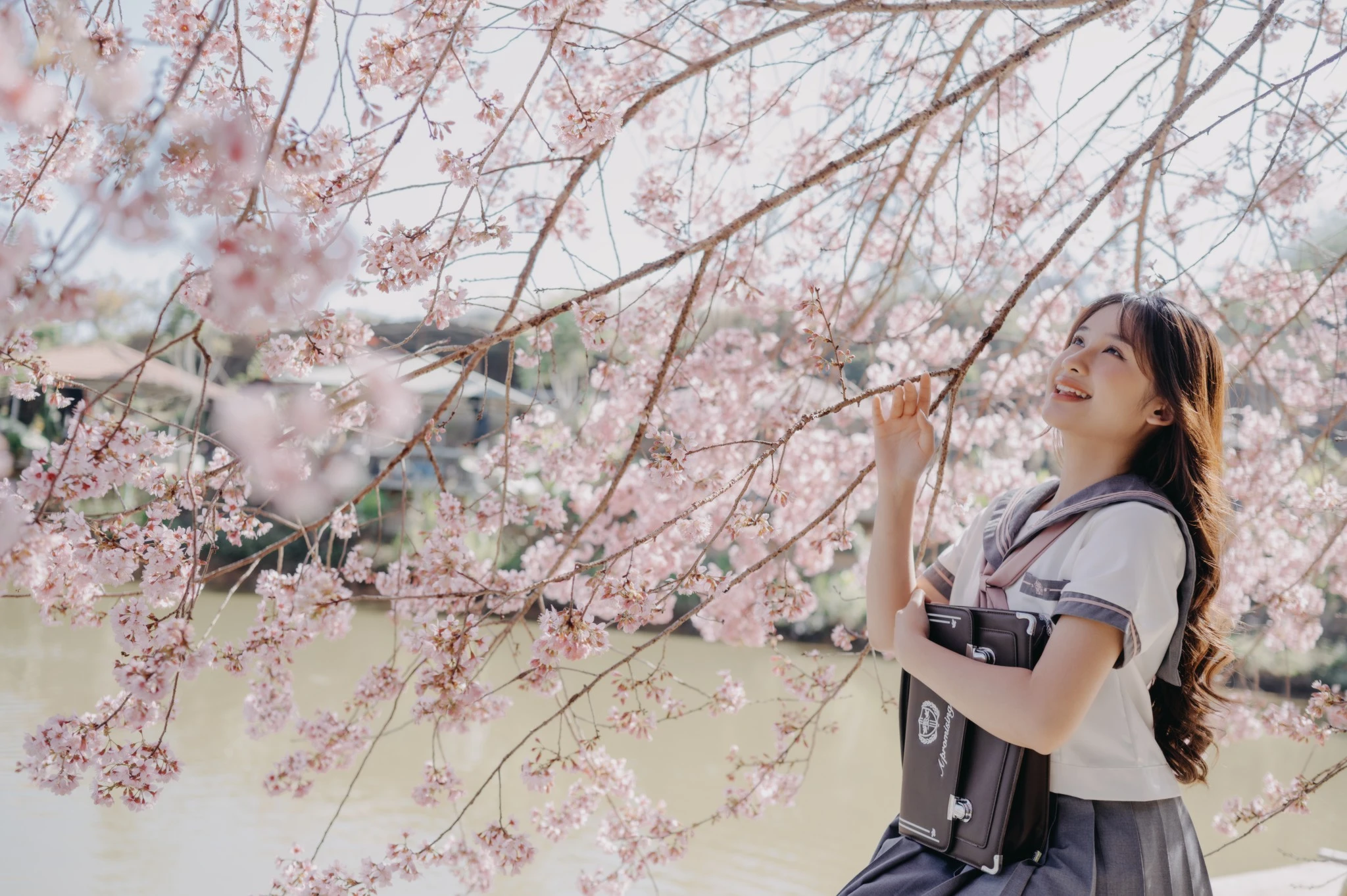 Du khách đua nhau check-in mai anh đào tại Đà Lạt 