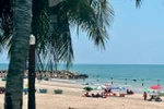 Từ sóng biếc đến ngàn hoa: Farmtrip khai phóng du lịch Phan Thiết – Đà Lạt