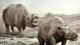Loài thú tuyệt chủng Toxodon gây tranh cãi vì ngoại hình lai tạp