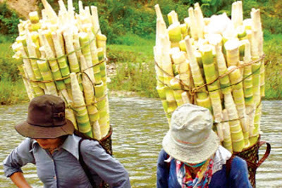 Măng chua đặc sản nhiều nhiều yêu thích.